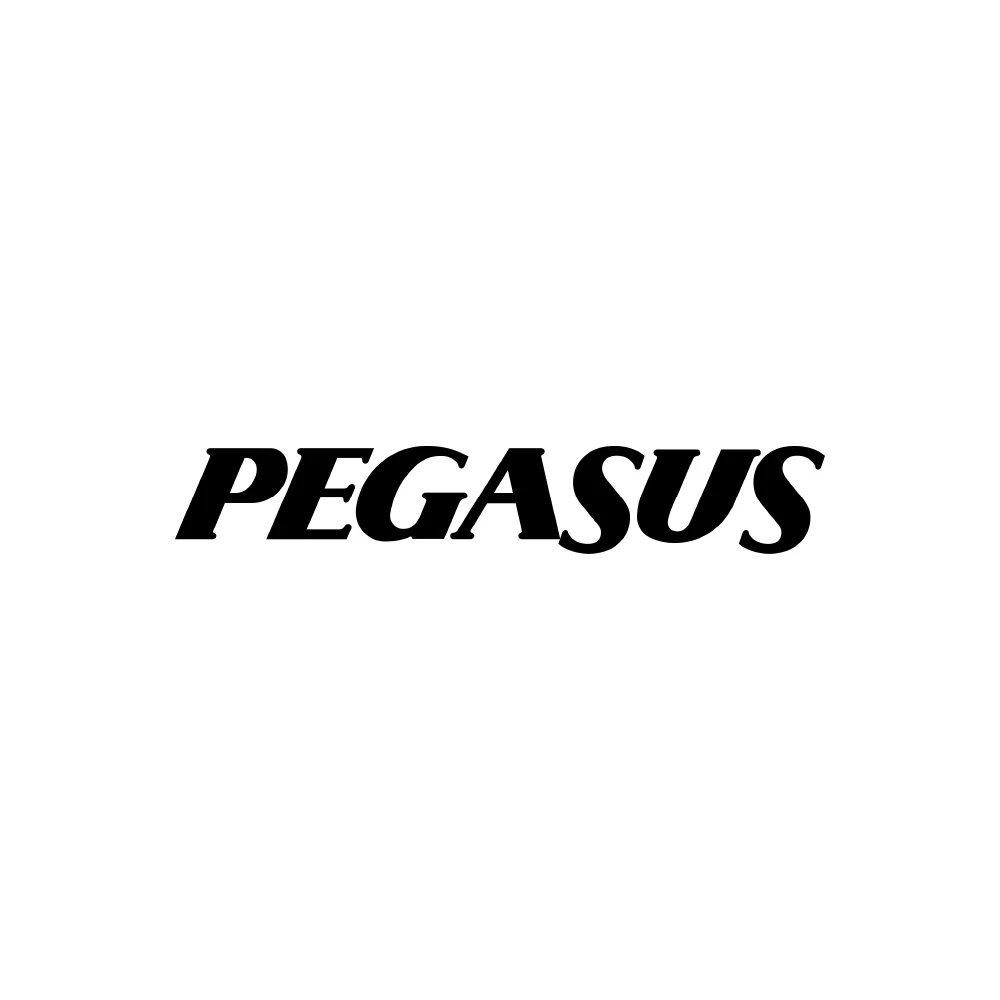 Pegasus Airlines