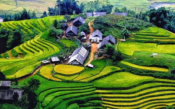 Vietnam (HANOI; HA LONG; HANOI; DA-NANG) 