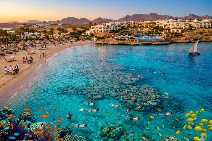 Sharm Nov till 17 Dec