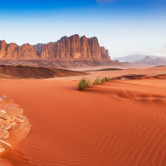 Amman- Petra- Wadi Rum- Dead Sea (29 Oct- 01 Nov)