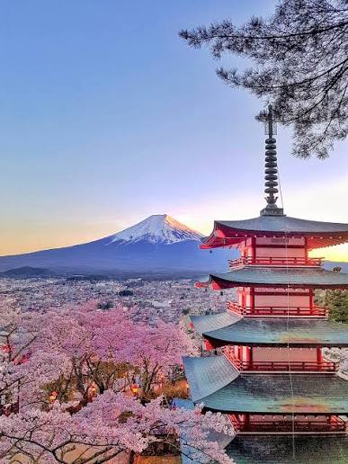 Essential Japan (7 Days)
