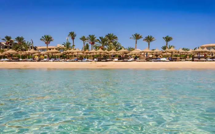 Sharm New Year